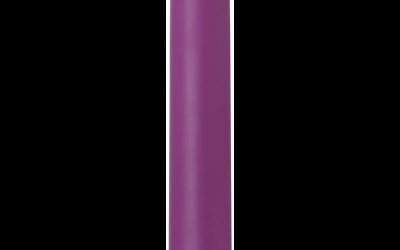 Eve`s Satin |  |  $80.00