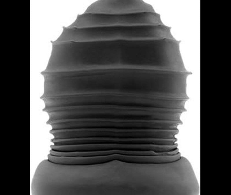 Buck Angel – Angel Stroker |  |  $43.00