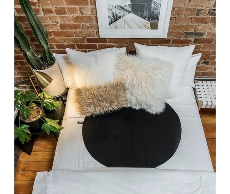 The Layer |  |  $99.00