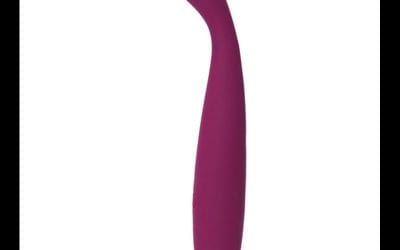 Cici |  |  $85.00