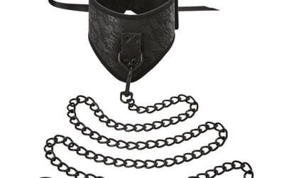 Sincerely Lace Posture Collar & Leash |  |  $53.00