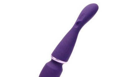 We-Vibe Wand |  |  $225