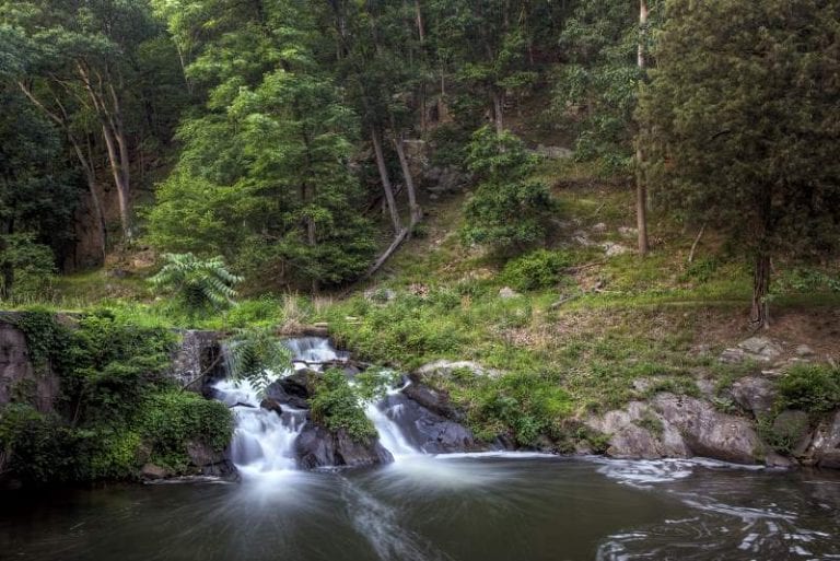 intimate tickles adult toy partys of maryland Derek storme 768x513