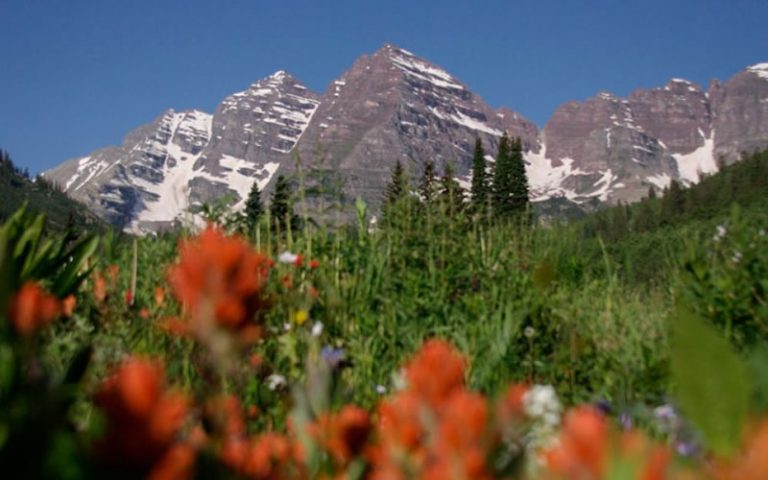 intimate tickles adult toy partys of colorado 768x480